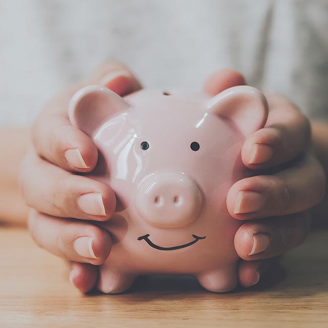 Person holding piggy bank