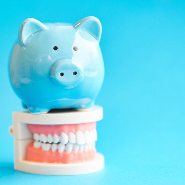 Piggy bank and model teeth representing the cost of oral cancer screenings