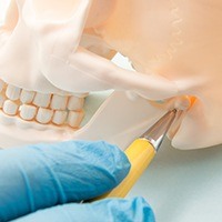 Skull and jawbone model demonstrating arthroscopic arthroplasty